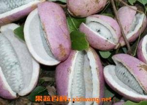 八月瓜能存放几天吃吗视频,揭秘存放时间与食用指南