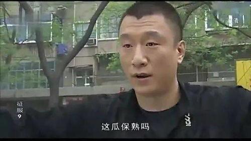 凯哥吃瓜最快的视频,一网打尽最新热点，揭秘娱乐圈风云变幻