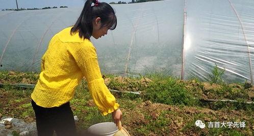 为什么总赶不上吃瓜视频,为何总是错过热门吃瓜视频