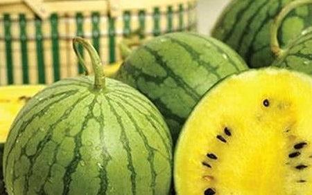 吃西瓜直接吃瓜心好吗视频