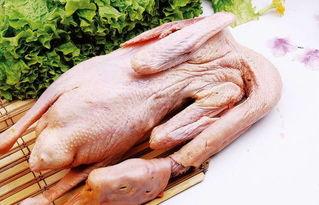 大鹅吃瓜视频真实的,揭秘网络热点的趣味瞬间