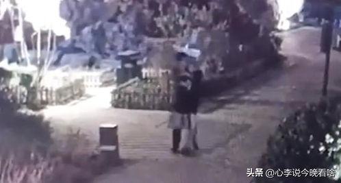 加州吃瓜事件视频,一场引发热议的网络狂欢与反思  第2张