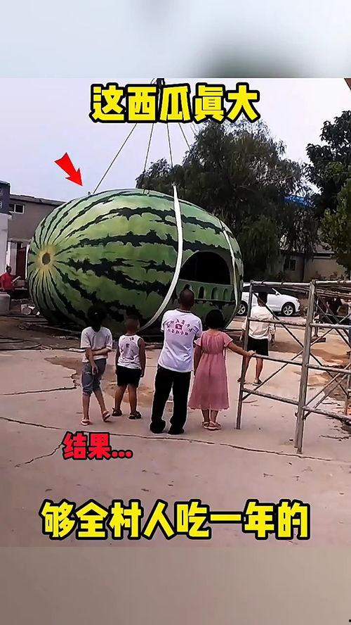 搞笑吃瓜大事件视频大全,笑料百出！搞笑吃瓜大事件视频盘点  第3张