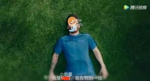 世界杯吃瓜视频在哪看啊,世界杯吃瓜视频观看指南  第3张