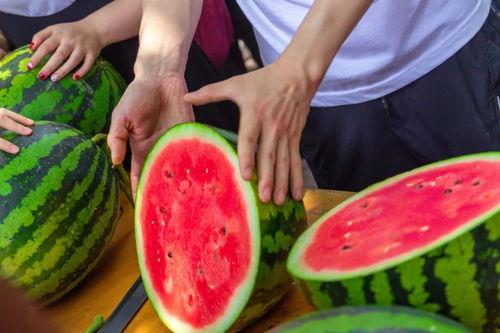 兰州高校吃瓜视频,揭秘校园生活趣味瞬间  第2张