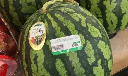 卖瓜小贩吃西瓜视频,真实生活趣味瞬间  第3张