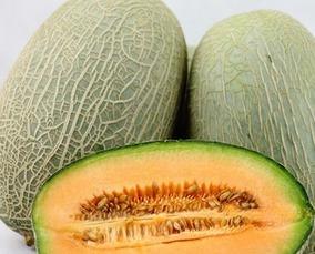 博主吃哈密瓜视频大全集,博主带你领略美味瞬间  第3张