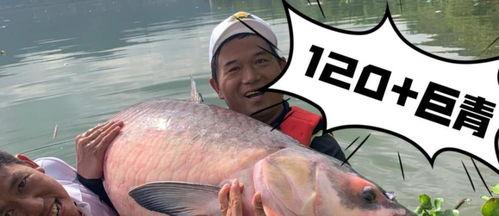 抖音星野和鱼哥吃瓜视频,揭秘娱乐圈最新吃瓜大事件  第2张