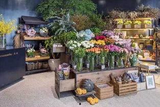 玉田花店老板吃瓜群视频,揭秘花店老板的日常生活趣事  第3张