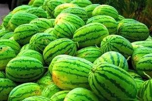 江西九江吃瓜视频  第2张