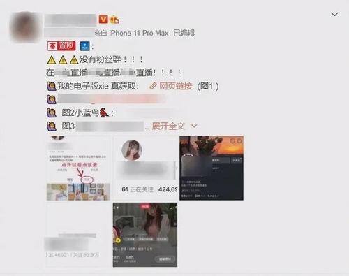 购买吃瓜视频会被拘留吗  第3张