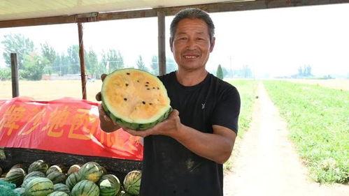 临清最新吃瓜新闻视频,揭秘幕后真相，视频曝光惊人内幕  第3张