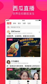 吃瓜的音乐视频大全下载,带你领略视听盛宴  第3张