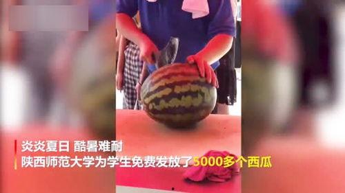 大二大三吃瓜视频,吃瓜视频里的青春百态  第2张