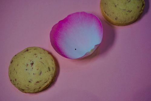 赏心悦目吃瓜视频,揭秘热门视频背后的趣味故事  第3张