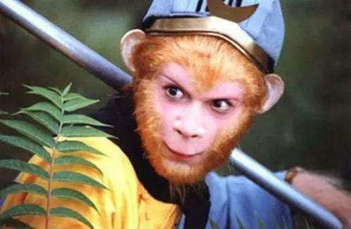 猴王吃瓜角色扮演视频,瓜果盛宴欢乐多  第2张