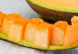 吃冰糖蜜瓜的视频大全集  第3张