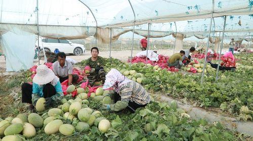 西安吃瓜事件最新进展视频,真相揭晓，疑云逐步散去  第2张