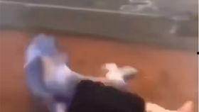 台风来了吃瓜视频  第3张