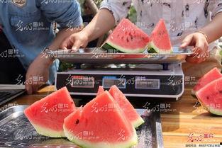 山东干部吃瓜视频大全,趣味横生的办公日常