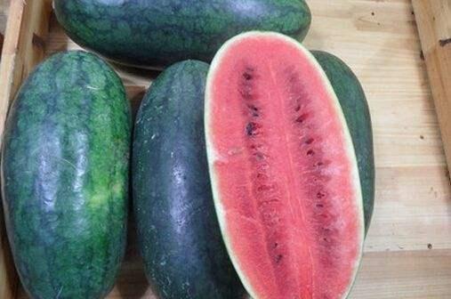 山东干部吃瓜视频大全,趣味横生的办公日常  第2张