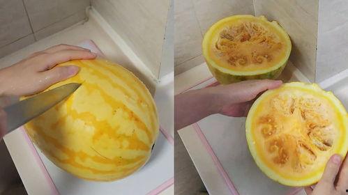 吃黄皮瓜小视频大全集,小视频大全集带你领略美味瞬间 第3张 吃黄皮瓜小视频大全集,小视频大全集带你领略美味瞬间 第3张