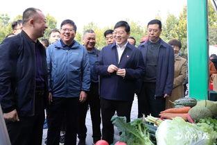 县委书记吃瓜视频大全集,揭秘官场趣闻背后的真相