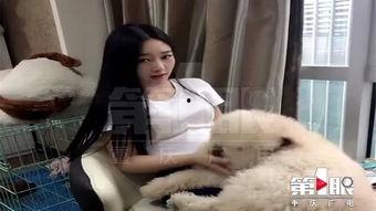 网红狗子张悦吃瓜视频大全,笑料百出欢乐无限