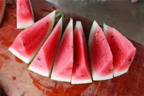 吃不起瓜视频,揭秘平民视角下的社会现象  第2张