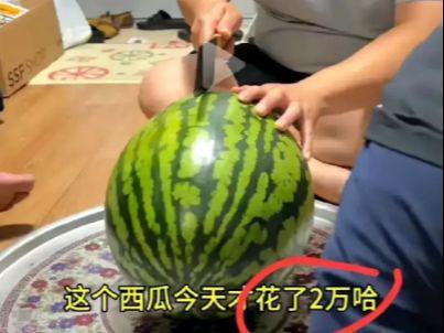 吃不起瓜视频,揭秘平民视角下的社会现象  第3张