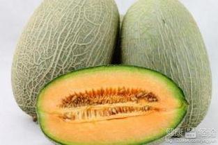 宠物吃哈密瓜好吗视频教程,哈密瓜的益处与食用方法  第2张
