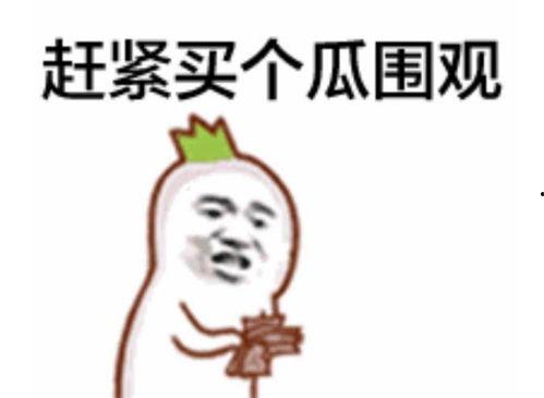 吃瓜群众几点播的视频,揭秘“吃瓜群众几点播”热门视频背后的故事  第3张