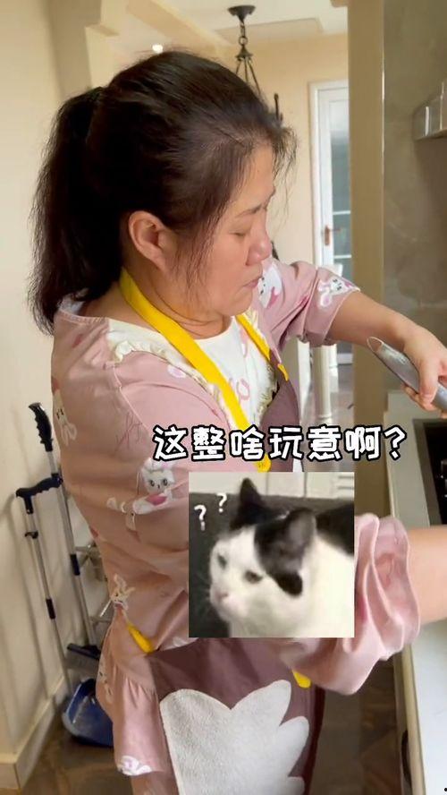 暴躁的吃瓜小仙女视频,揭秘网络红人的火爆瞬间