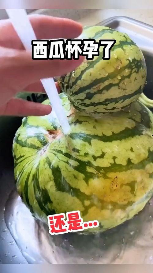 吃瓜模板搞笑视频下载,笑料横飞，快来一起“瓜”事连连  第2张