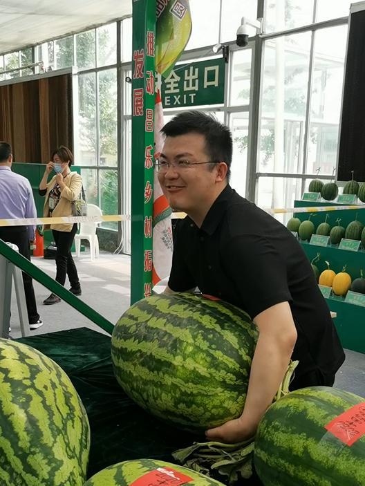 中山吃瓜群众吃蕉视频,趣味吃蕉视频引全民热议  第2张