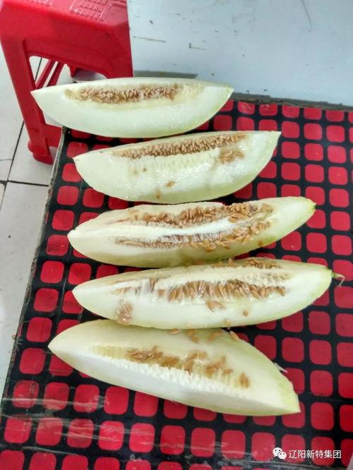 带你吃瓜奇葩西餐视频,带你领略“带你吃瓜奇葩西餐”的独特风味  第2张