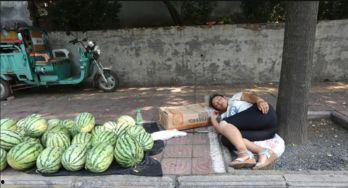 广州黄埔区吃瓜事件视频,广州黄埔区“吃瓜事件”视频引发热议  第3张