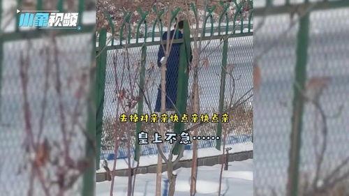 消防队的吃瓜队友视频,一场欢乐的消防日常  第3张