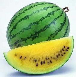 焦作武陟最大的吃瓜视频