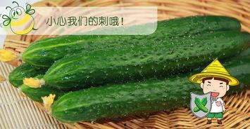 最好的吃瓜视频,最佳吃瓜视频带你领略明星幕后故事