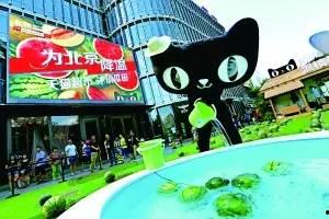 天猫群众吃瓜视频,揭秘网红美食背后的故事  第2张