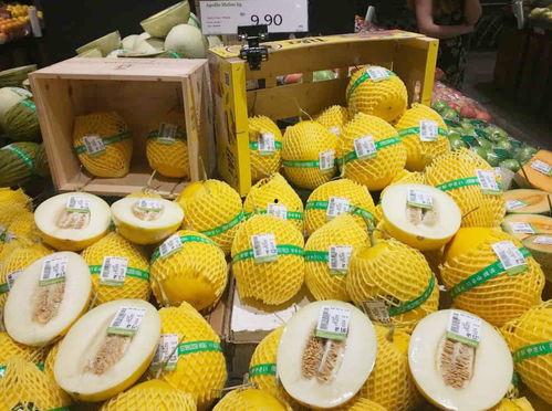 最受欢迎的吃瓜视频网站,热门事件一网打尽！