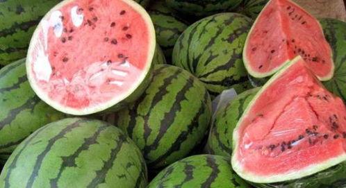 长垣吃瓜原视频在哪,一场视觉盛宴背后的故事  第3张