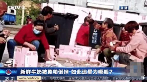 安徽名师吃瓜视频播放