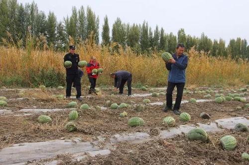 二道河子吃瓜群众视频  第2张